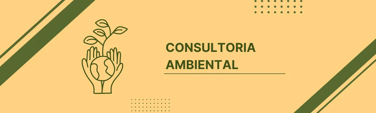 Consultoria e responsabilidade técnica